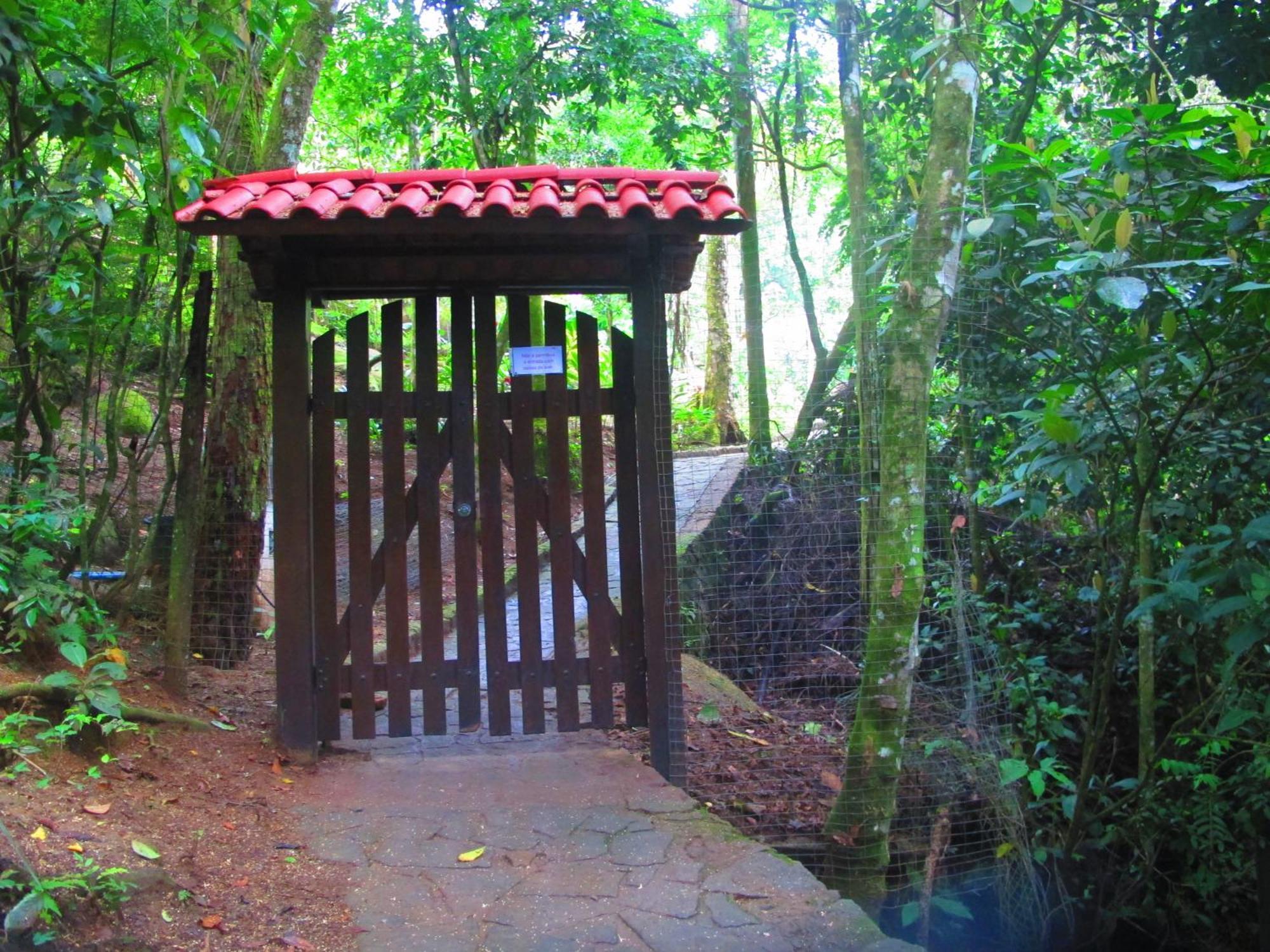 Bangalo Na Acqua Jungle Lodge Илья-Гранди Экстерьер фото