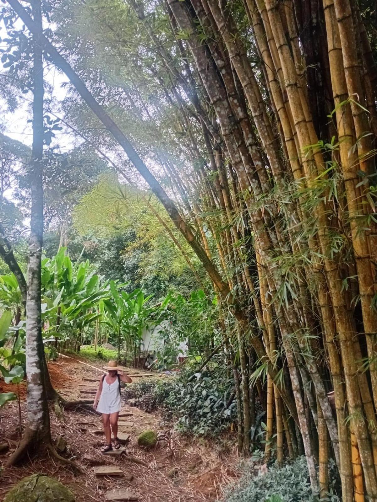 Bangalo Na Acqua Jungle Lodge Илья-Гранди Экстерьер фото
